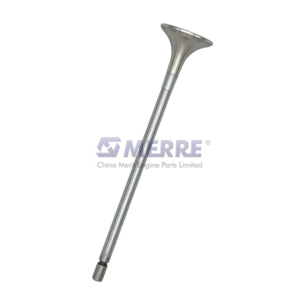 Exhaust Valve RDA20441486 For Volvo D12 China Merit