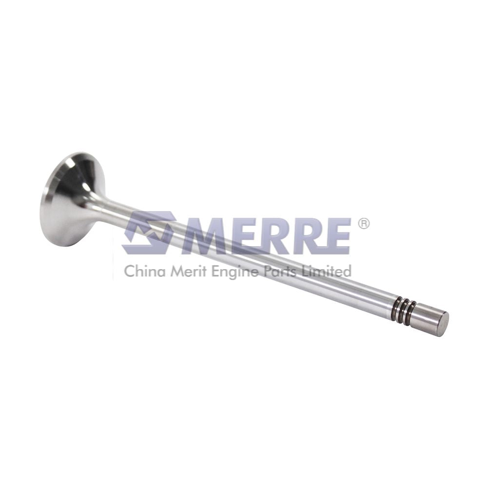 Exhaust Valve M51.041010546 For MAN Trucks China Merit
