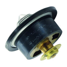 Lade das Bild in den Galerie-Viewer, John Deere DZ100553 - Thermostat
