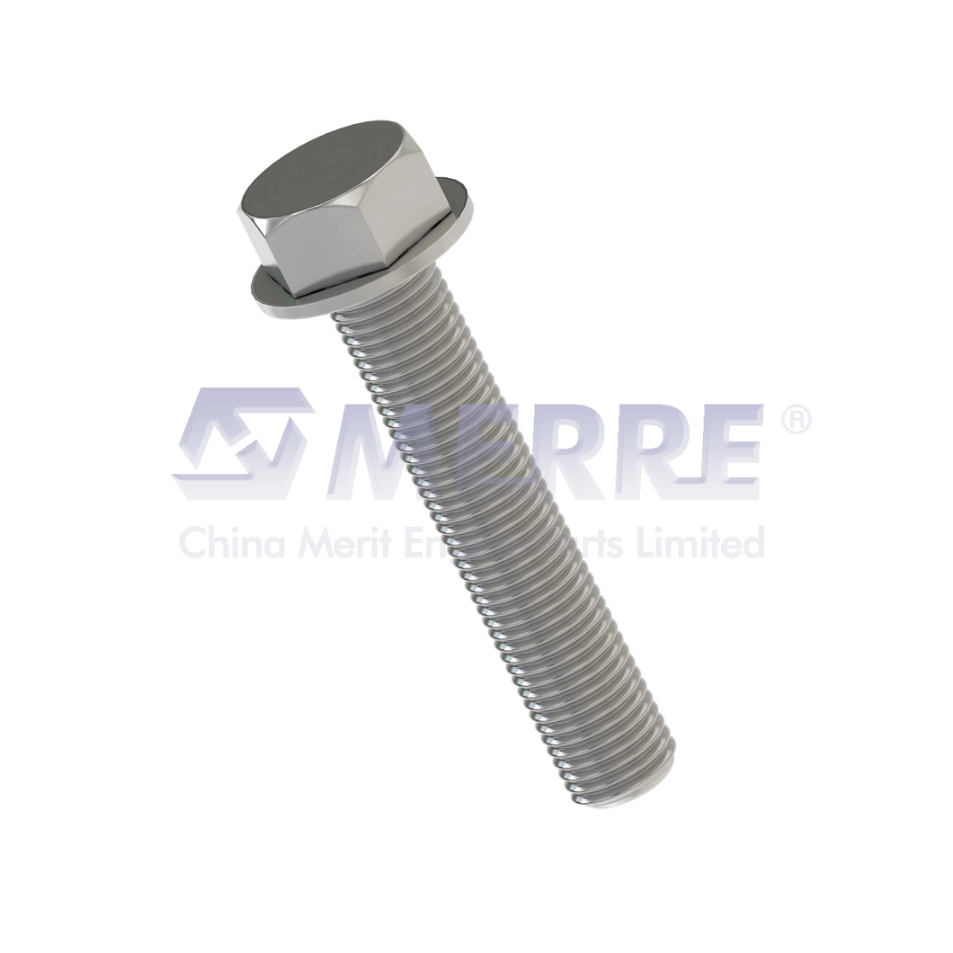 19M7800: Hexagonal Flanged Head Screw