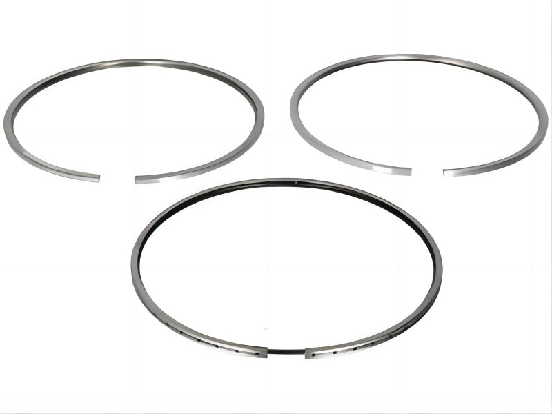 061RS001100N0 Piston Ring,1523068, 1880981, 2030741