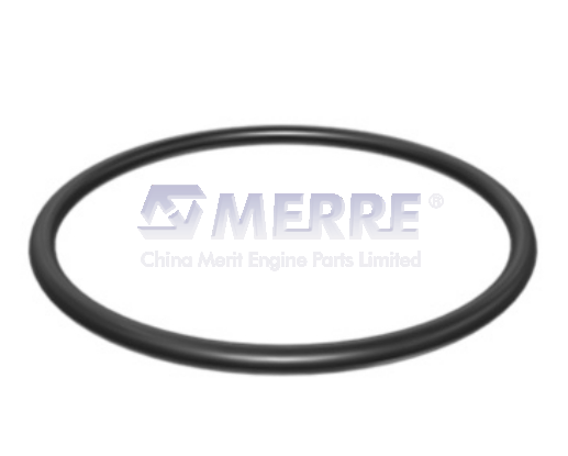 117-8801: O-SHAPED SEALING RING