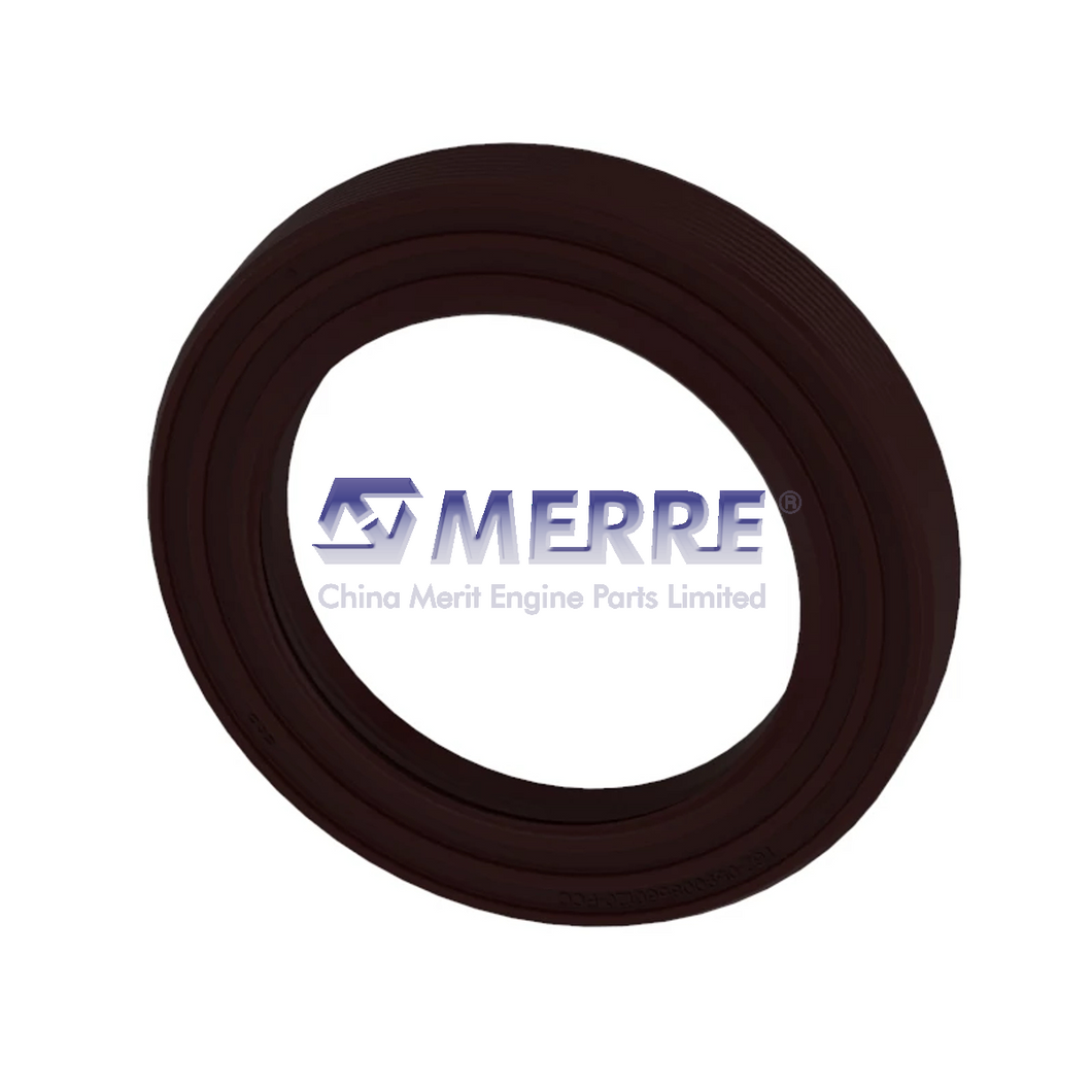 RE300810: Internal Oil Seal/For John Deere